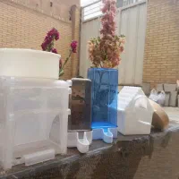 وسایل نگهداری پرنده