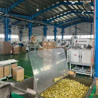 اپراتور تزریق پلاستیک ( آقا ) سه شیفت چرخشی