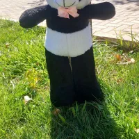 دوره کامل عروسک سازی برای اولین بار در قاین|خدمات آموزشی|قائن, |دیوار