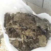 کود کبوتر|لوازم جانبی حیوانات|خمینیشهر, |دیوار