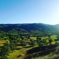 فروش‌گود‌حیوانی‌بانیسان