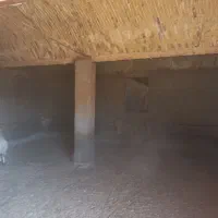 آغل گوسفندی|فروش زمین و ملک کلنگی|سبزوار, قصبه شرقی|دیوار