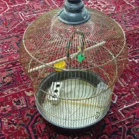 قفس شیک پرنده