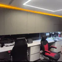 کمک حسابدار خانم