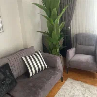 فروش انواع درختچه به قیمت عمده|گل مصنوعی|ساری, |دیوار