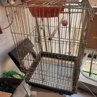 قفس پرنده کاملا نو و تمیز