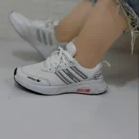 کتونی|کیف، کفش، کمربند|بروجرد, |دیوار