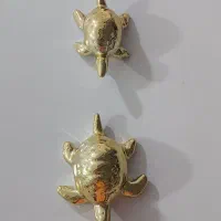 لاکپشت دکوری