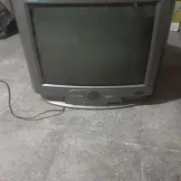 تلویزیون