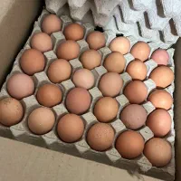 تخم مرغ محلی|خوردنی و آشامیدنی|اصفهان, آزادان|دیوار