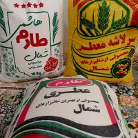 برنج طارم هاشمی