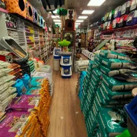 ریزش مو روغن ماهی مولتی ویتامین بیوتین ریکاوری