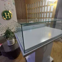 ویترین شیشه ای