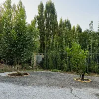 باغ ویلا سویت خانه اجاره ای مستقل کهمان