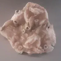 سنگ قیمتی