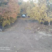 حمل و نقل قبول سرویس جهت شرکتهای خصوصی