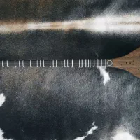 سه تار کاسه یک تکه گردو تمام حرفه ایی|سازهای سنتی|تهران, آسمان|دیوار