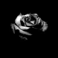 مداح و خواننده ختم وترحیم ترکی،فارسی نی،دف،موزیک