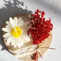 گیفت شمع عروسی عقد تولد حنابندان مهدکودک|صنایع دستی و سایر لوازم تزئینی|شیراز, فرهنگ شهر|دیوار