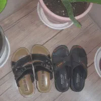 دمپایی|کیف، کفش، کمربند|سبزوار, هویزه|دیوار