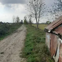 زمین سند دار شالیزار در رشت|فروش زمین و ملک کلنگی|رشت, سیا اسطلخ|دیوار