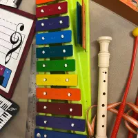 بلز و فلوت|سازهای بادی|تهران, لویزان|دیوار