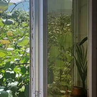 ویلا ساحلی درحویق هراندان