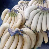 موز پاکستانی کیلو ۸۵ شیرین ارسال