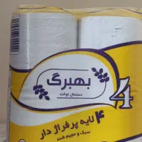 دستمال کاغذی|مواد شوینده و دستمال کاغذی|زاهدان, |دیوار