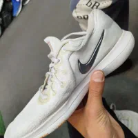 کفش نایک|کیف، کفش، کمربند|خمین, |دیوار