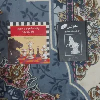 کتاب تئوری بنیادی شطرنج مایزلیس و چگونه شطرنج...