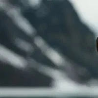 کرایه خانه ۱۰۰۰متری دربست حیاط وپارکینگ درباغشاد