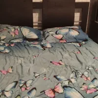 تخت خواب|تخت و سرویس خواب|الشتر, |دیوار