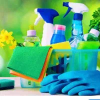 نیروی کمکی برای انجام امور منزل