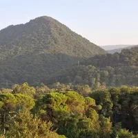 ۱۱۳ متر تک واحد/ بلوار معلم