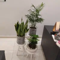 نیروی خدمات و تحصیلداری|استخدام سرایداری و نظافت|تهران, شهرک غرب|دیوار