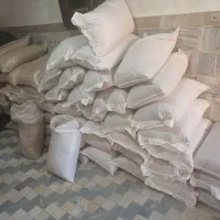 لوبیا چیتی|عمدهفروشی|اسدآباد, |دیوار