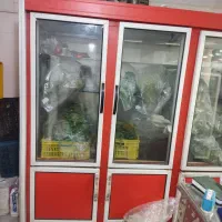 یخچال 3 در ۲متر