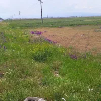 زمین بر خیابان آبی بیگلو