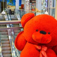 خرس تدی 80سانتی