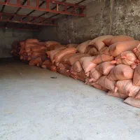 یونجه شلیف گرفته|حیوانات مزرعه|دوگنبدان, |دیوار