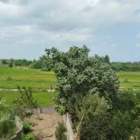 زمین ۲۵۰۰۰ متر/چند قدمی بافت و آسفالت/نزدیک اتوبان