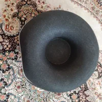 جا خوابه گربه