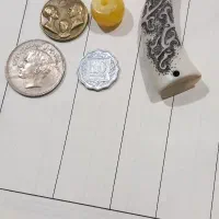 سلام سه تا سکه ویه شاخ نمیدوتم شاخ چی هست ویه میرو