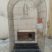 قفسه پرنده