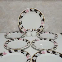 ظرف پذیرایی چینی زیبا