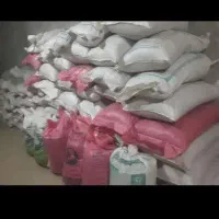 گندم بذر آذر 2