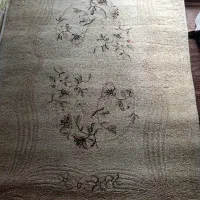 یک تخته فرش مخصوص باغ و کافه الاچیق