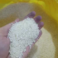 نیم دانه
