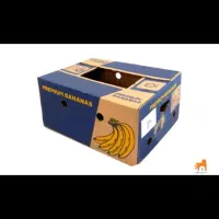 کارتن موزی. کارتن اسباب کشی